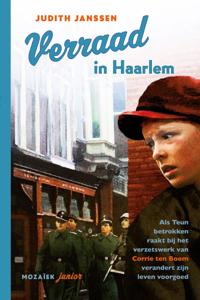 Verraad in Haarlem (Paperback)