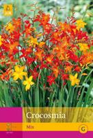 Crocosmia mix 50st bloembol zomer JUB - Jub
