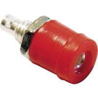 Schnepp BU 2400 Miniatuur-laboratoriumconnector Bus, inbouw verticaal Stift-Ø: 2 mm Rood 1 stuk(s) - thumbnail