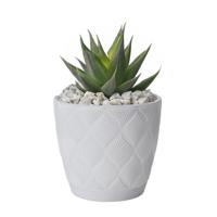 Form Plastic Plantenpot/bloempot New Age - kunststof - ivoor wit - D19 x H17 cm - met schotel