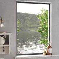 VidaXL Raamhor 80x120 cm antracietkleurig VidaXL Raamhor 80x120 cm antracietkleurig
