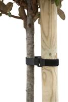 Klittenboomband met gesp 40x2,5cm set a 2 stuks - Nature