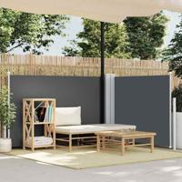VidaXL Windscherm uittrekbaar 120x600 cm antraciet