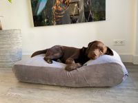 Dog's Companion® Hondenbed soft velvet grey