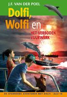 Dolfi, Wolfi en het verboden vuurwerk - J.F. van der Poel - ebook