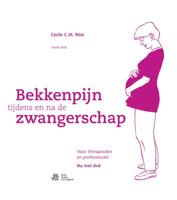Bekkenpijn tijdens en na de zwangerschap (Hardback)