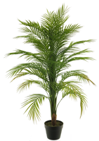 Areca palm in pot green 120cm Erutan Avon - Erutan avon