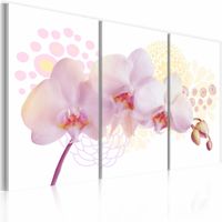 Schilderij - Witte dame, Orchidee , 3 luik  , roze