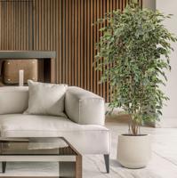 Ficus Exotica deluxe kunstboom 210cm - bont