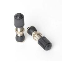 STANS Stan&apos;s valve stem (pair) - universal, schrader, 10mm base - 32mm