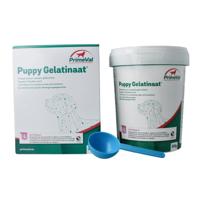 Primeval Gelatinaat puppy