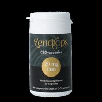 CBD capsules 20mg 60 Capsules