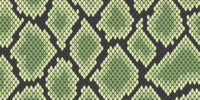 Abstracte slangenhuid Vinyl tapijt met dierenprint