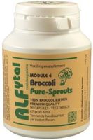 Broccoli pure-sprouts