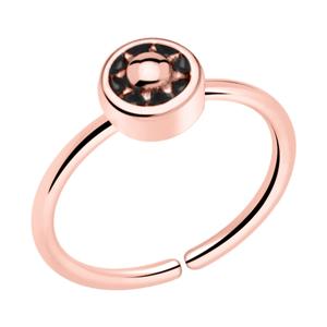 Continuous Ring Met roségoud verguld chirurgisch staal Piercingringen