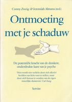 Ontmoeting met je schaduw