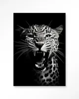 Rawr Cheetah