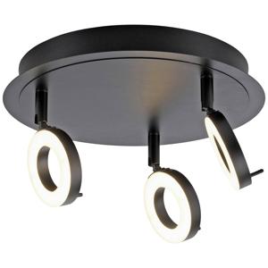 Paul Neuhaus 6788-13 LED-plafondlamp LED 19.2 W Antraciet