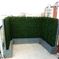Buxus kunstmatje x300
