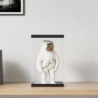 VidaXL Vitrine transparant 22x18x35 cm acryl