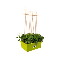 elho green basics movable garden Buiten Plantenpot Vrijstaand Polypropyleen (PP) Limoen - thumbnail