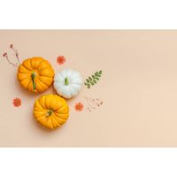 Inductiebeschermer - Oranje met witte Pompoen - 65x55 cm - thumbnail