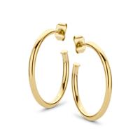 Oorbellen hoops | 15-45 mm - Stainless steel - Goud - 25 mm