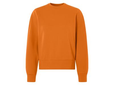 esmara Dames sweater (Oranje, M (40/42))