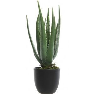 Groene aloe vera kunstplant 35 cm in zwarte pot