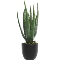 Groene aloe vera kunstplant 35 cm in zwarte pot