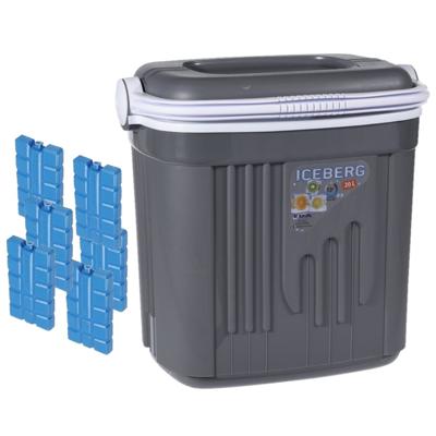 Koelbox kunststof - grijs - 20 liter - 39 x 28 x 38 cm - Inclusief 6x koelelementen
