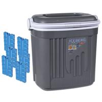 Koelbox kunststof - grijs - 20 liter - 39 x 28 x 38 cm - Inclusief 6x koelelementen