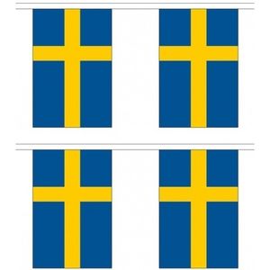 2x Buiten vlaggenlijnen Zweden 3 meter