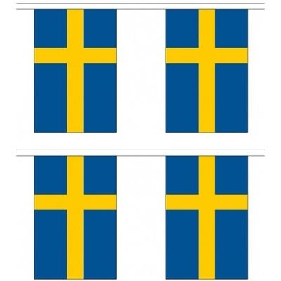 2x Buiten vlaggenlijnen Zweden 3 meter