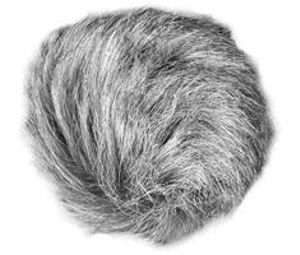 Zoom WSU-1 Universeel Windscreen