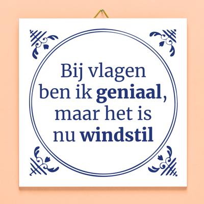 Tegeltje Bij vlagen ben ik geniaal