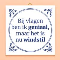Tegeltje Bij vlagen ben ik geniaal