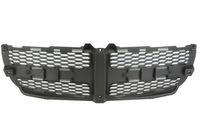 Radiateurgrille 6502070932990P