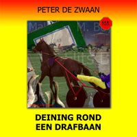 Deining rond een drafbaan - thumbnail