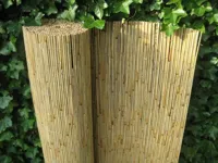 Rietmat ferto 80x600 cm