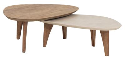 DTP Home Organische Salontafel 'Bliss' Set van 2 stuks, Mortex en Teakhout, 100 x 70cm