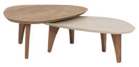 DTP Home Organische Salontafel 'Bliss' Set van 2 stuks, Mortex en Teakhout, 100 x 70cm