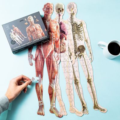 Human Anatomy Puzzle