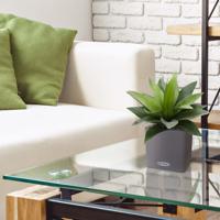 Agave kunstplant 25cm in 10cm pot