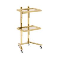Cosmeticawagen - 2 Planken - 40 x 86 x 50 cm - gouden