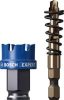 Bosch Accessoires EXPERT Sheet Metal Power Change Plus Gatzaagset | 27 x 5 mm - 2608901956