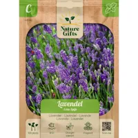 Lavendel echte spijk 100st