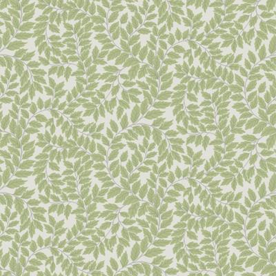Dutch Wallcoverings Fagelsang - Lindlöv White/Green