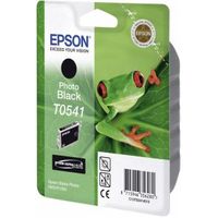 Epson inktpatroon Photo Black T0541 Ultra Chrome Hi-Gloss - thumbnail