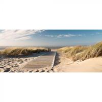 Tuinposter houten pad in duin 110x45 sterren - Hortus